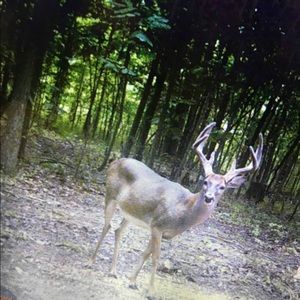 Meet your Posher, Braxton